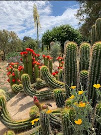 Clovis Botanical Garden photo 4