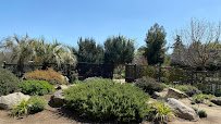 Clovis Botanical Garden photo 6