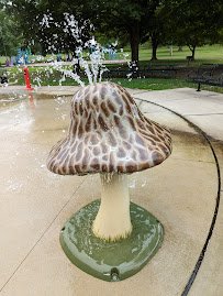 Aberdeen Park Splash Pad photo 5