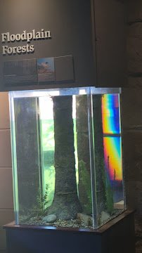 Flint RiverQuarium photo 2