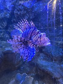 Flint RiverQuarium photo 6