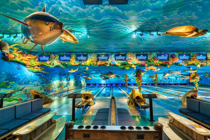 Fun Mountain at Big Cedar Lodge photo 3