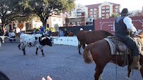 Fort Worth Petting Zoo photo 2