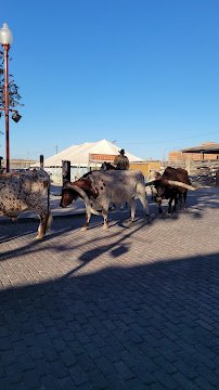 Fort Worth Petting Zoo photo 4