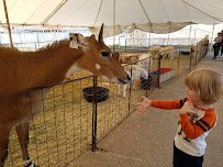 Fort Worth Petting Zoo photo 5