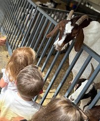Fort Worth Petting Zoo photo 6