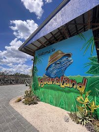 Iguanaland Inc. photo 6