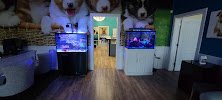 Top Notch Tanks Saltwater Aquarium Services