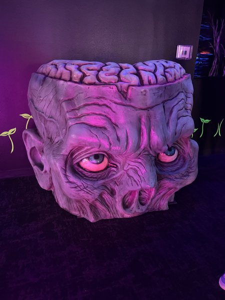 Monster Mini Golf Keller photo 4