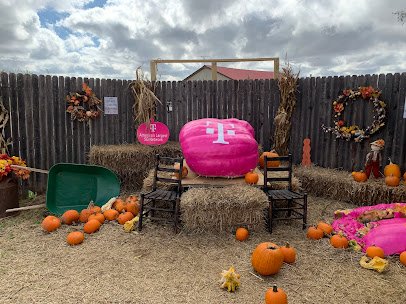 Chester's Party Barn & Farm photo 6