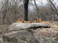 Worlds of Discovery photo 3