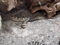 Worlds of Discovery photo 4