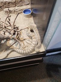 Worlds of Discovery photo 5