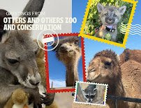 Otters and Others Zoo and Conservation