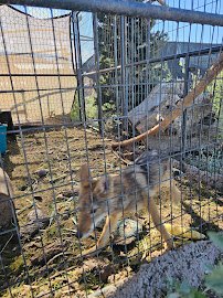 Otters and Others Zoo and Conservation photo 5