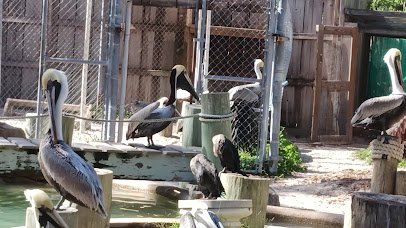 Peace River Wildlife Center-Education Center photo 2