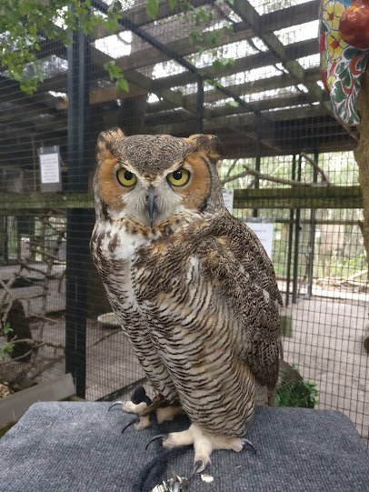 Peace River Wildlife Center-Education Center photo 5