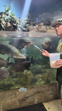 NorCal Aquarium & Wildlife photo 2