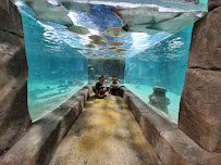 NorCal Aquarium & Wildlife photo 3