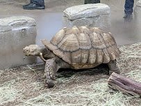 NorCal Aquarium & Wildlife photo 5