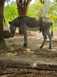 Critter Connection photo 2