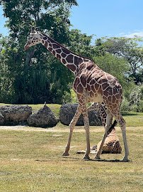 Critter Connection photo 3