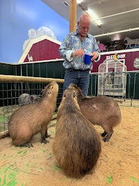 Debbie Dolittle's Petting Zoo