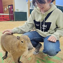 Debbie Dolittle's Petting Zoo photo 3