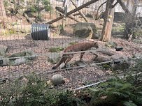 Cascade Crest photo 3