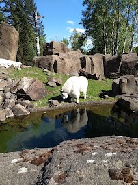 Cascade Crest photo 4