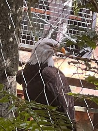 Cascade Crest photo 5