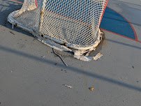 Dealy Field Roller Hockey Rink photo 3
