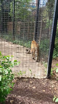 Potter Park Zoo photo 2