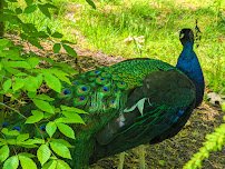 Potter Park Zoo photo 3