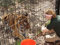 Potter Park Zoo photo 4