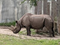 Potter Park Zoo photo 5