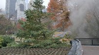 Wollman Rink photo 2