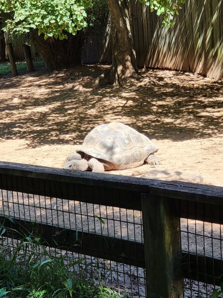 Friends of the Alexandria Zoo photo 2