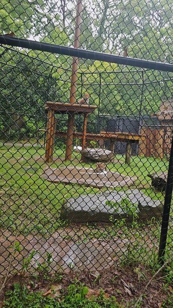 Friends of the Alexandria Zoo photo 3