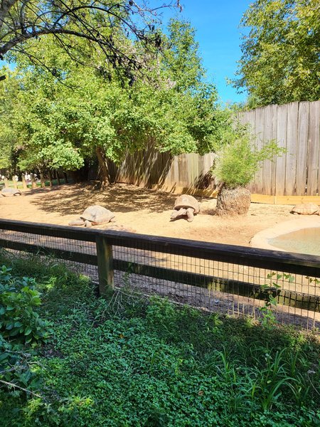 Friends of the Alexandria Zoo photo 6