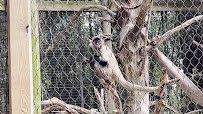 Salisbury Zoological Park photo 2