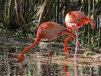 Salisbury Zoological Park photo 4