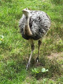 Salisbury Zoological Park photo 5