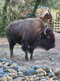 Salisbury Zoological Park photo 6
