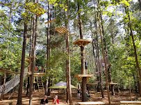 TreeRunner Raleigh Adventure Park & Putt Forest