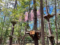 TreeRunner Raleigh Adventure Park & Putt Forest photo 3