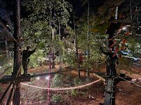 TreeRunner Raleigh Adventure Park & Putt Forest photo 5
