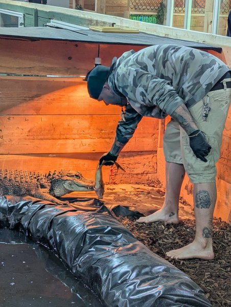 Idaho Reptile Zoo photo 4