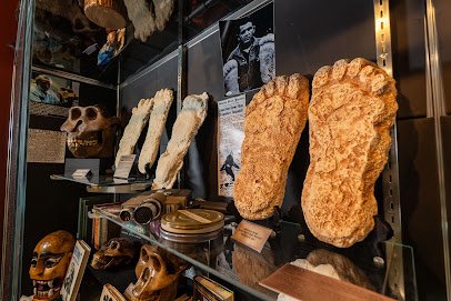 Mythos Museum of Oddities & Curiosities photo 6