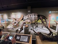 Buffalo Museum of Science